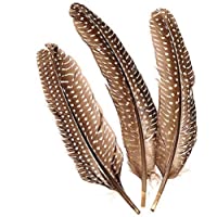 Los mejores  - Knorr Prandell Gütermann 6617980 - Plumas de faisán (20 cm- 8 Unidades)- Color Blanco y marrón